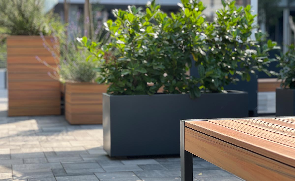 Слика од галерија