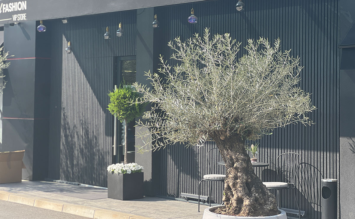 Слика од галерија