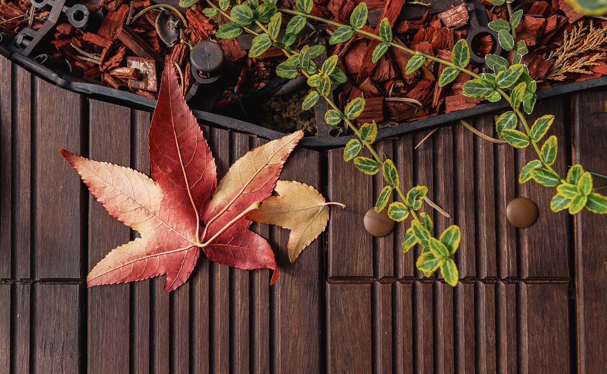 Слика од галерија