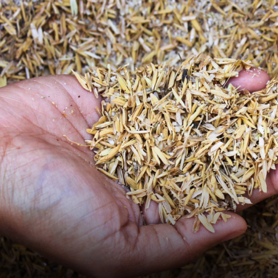 Savadeck Classic deking od riže